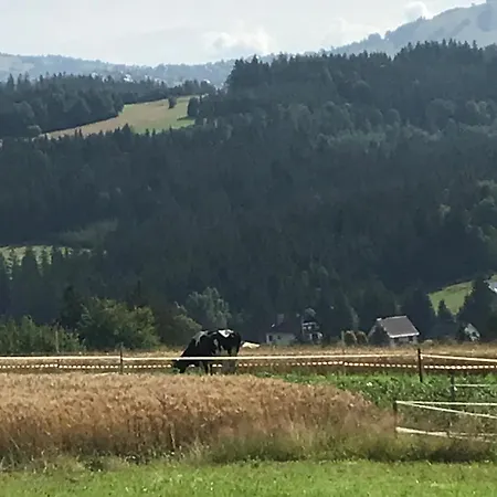 Do Wynajecia Skoski Casa de Férias Jaworzynka