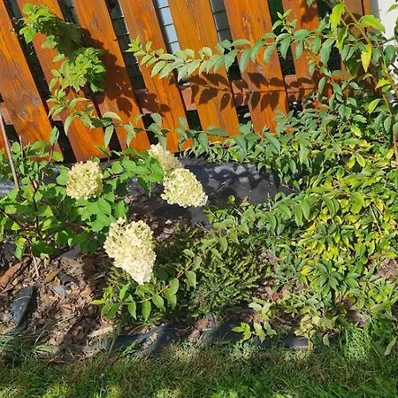 Do Wynajecia Skoski Casa de Férias *