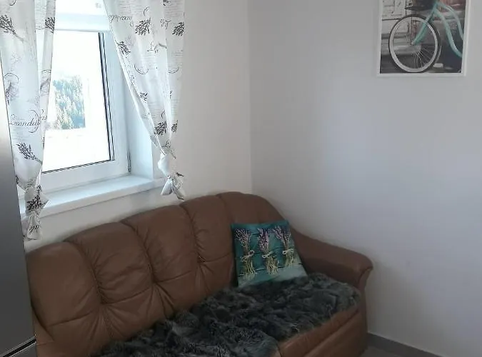 Do Wynajecia Skoski 加沃尔金卡