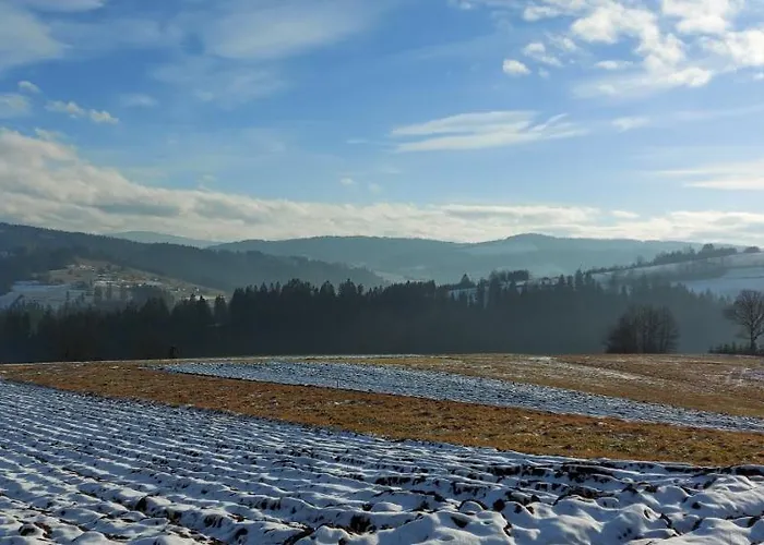 度假居 Do Wynajecia Skoski 加沃尔金卡