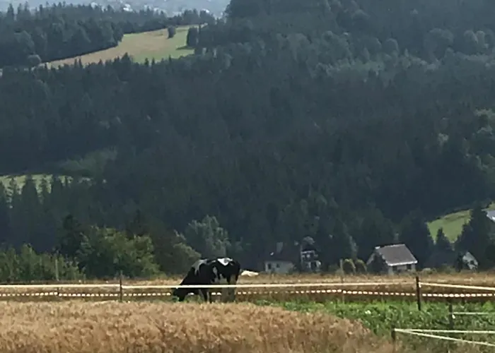 Do Wynajecia Skoski 度假居 加沃尔金卡