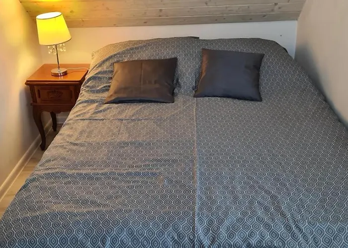 Do Wynajecia Skoski * 加沃尔金卡