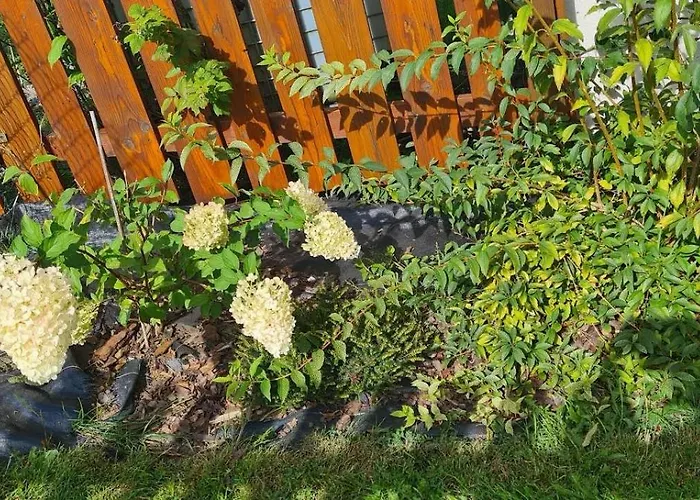 Do Wynajecia Skoski 度假居 *