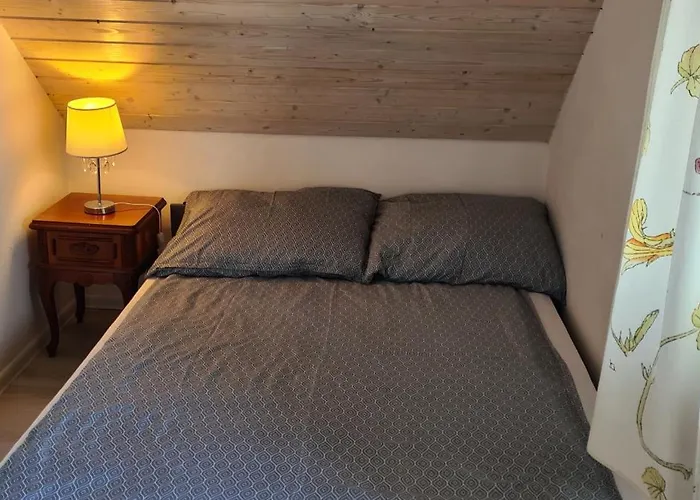 Do Wynajecia Skoski 加沃尔金卡