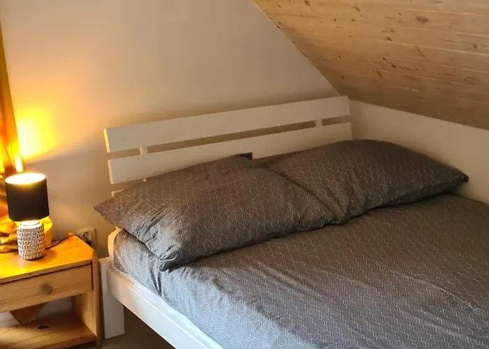 Do Wynajecia Skoski * 加沃尔金卡